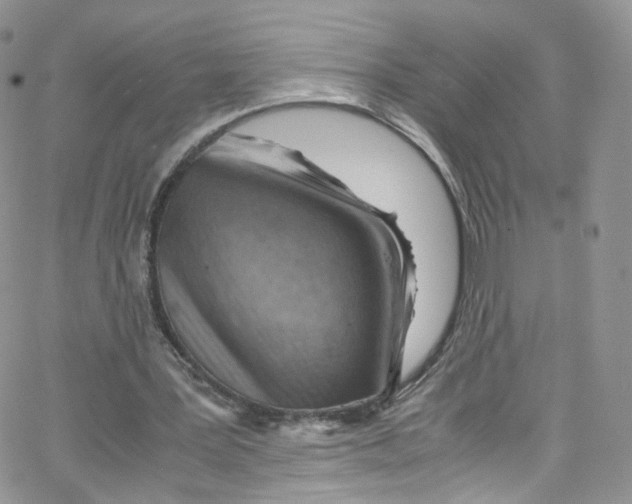 X0000065250387200603131133