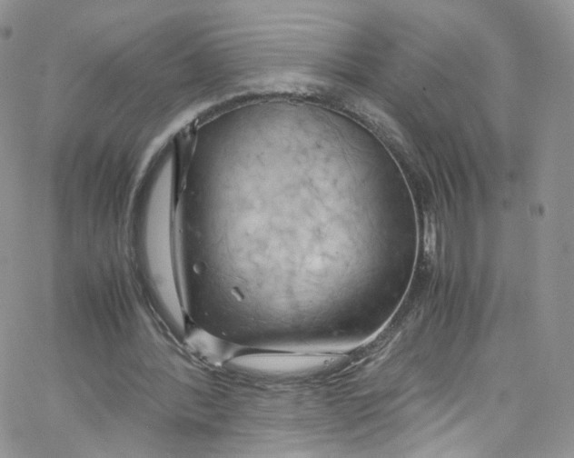 X0000065250388200603131133