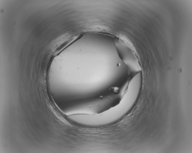 X0000065250389200603131133