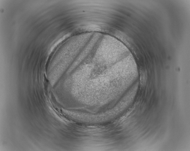 X0000065250390200603131133