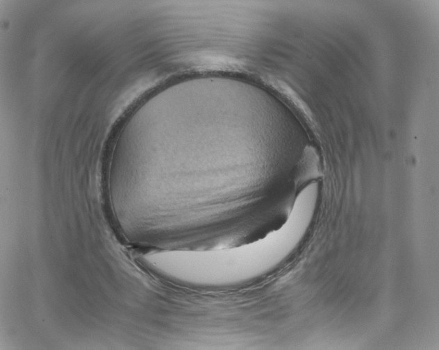 X0000065250391200603131133