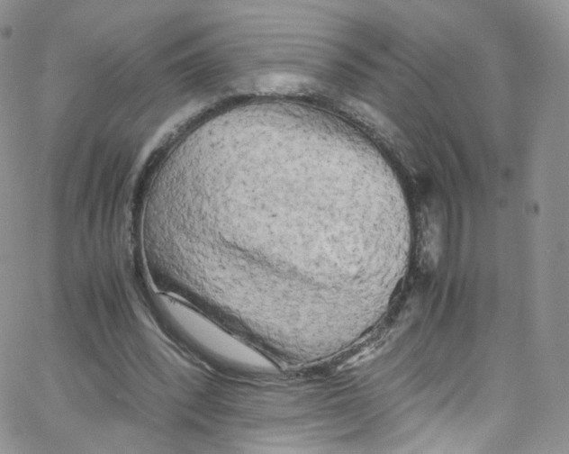 X0000065250392200603131133