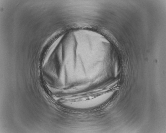 X0000065250395200603131133