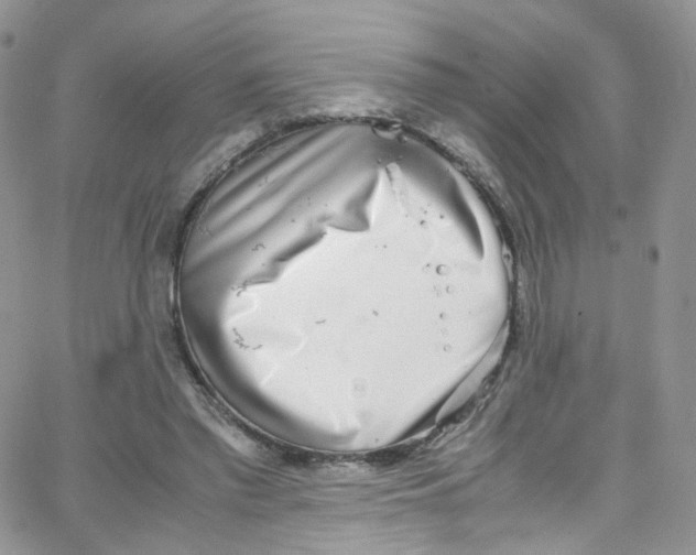 X0000065250397200603131133