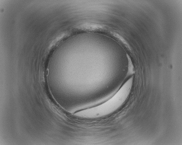 X0000065250399200603131133