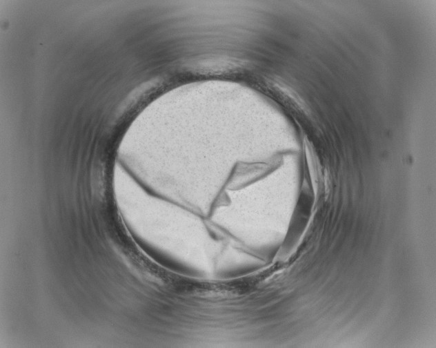 X0000065250400200603131133