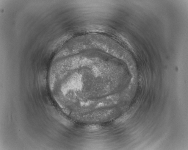 X0000065250402200603131133