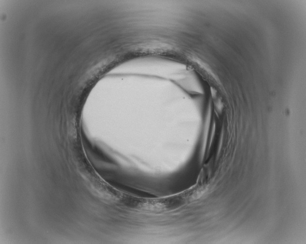 X0000065250403200603131133