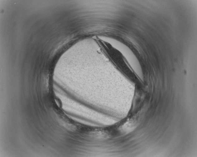 X0000065250404200603131133