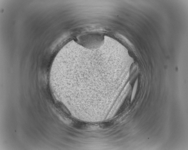 X0000065250405200603131133