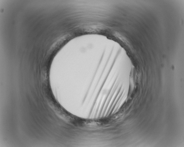 X0000065250407200603131133