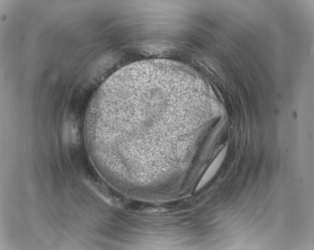 X0000065250408200603131133