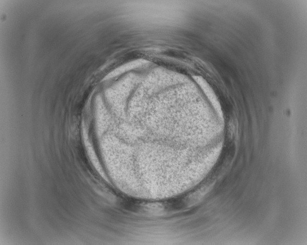 X0000065250409200603131133