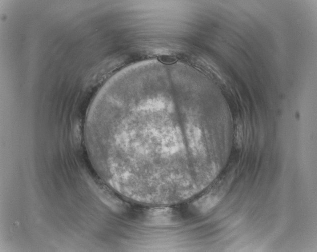 X0000065250410200603131133