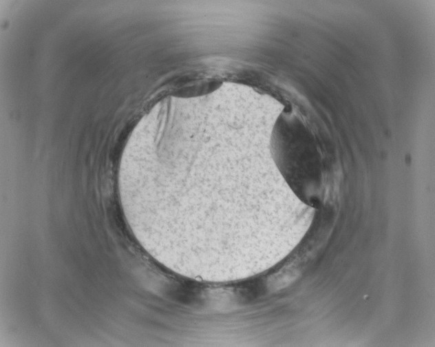 X0000065250413200603131133