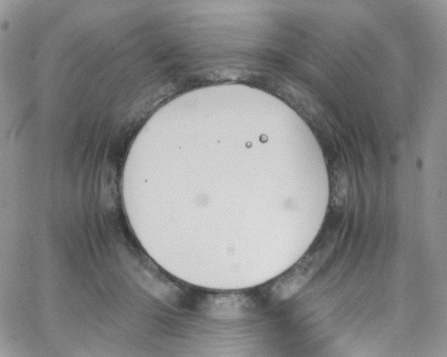 X0000065250414200603131133