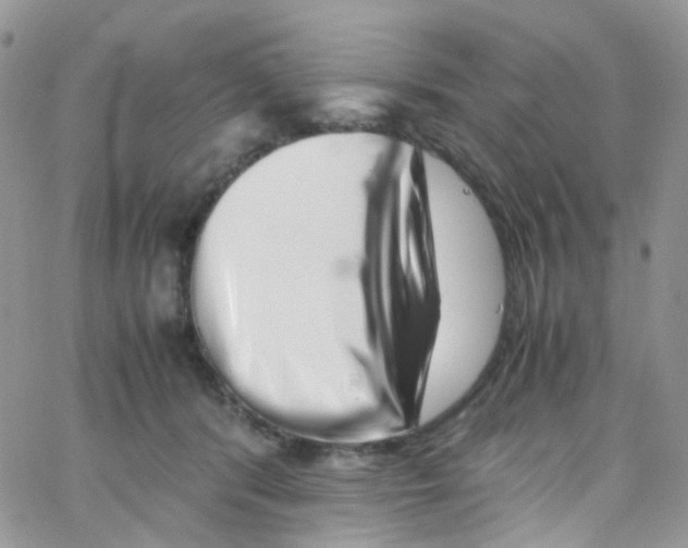 X0000065250416200603131133