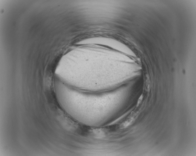 X0000065250417200603131133