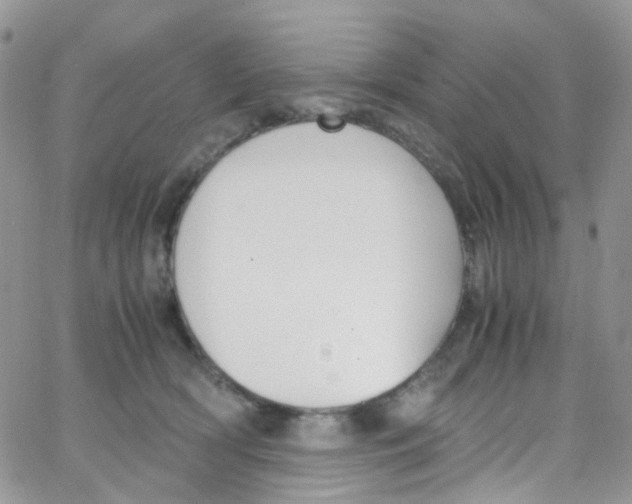 X0000065250418200603131133