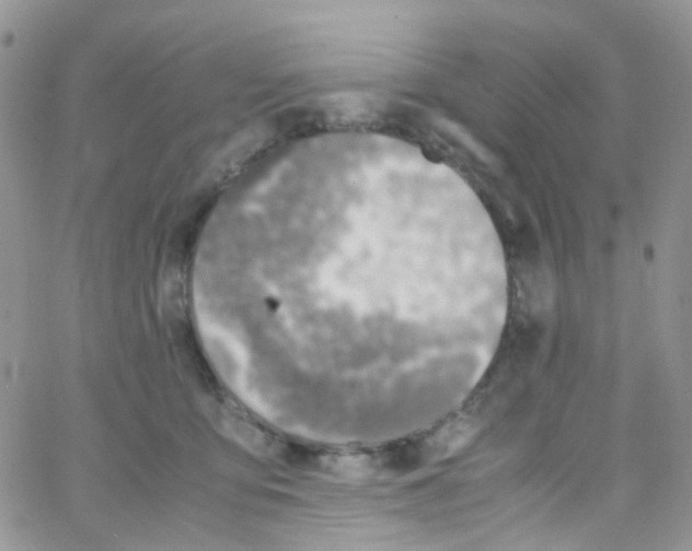 X0000065250419200603131133