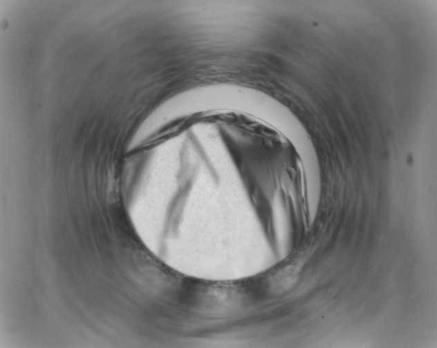 X0000065250420200603131133