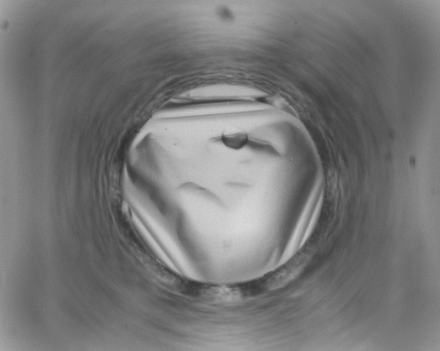 X0000065250421200603131133