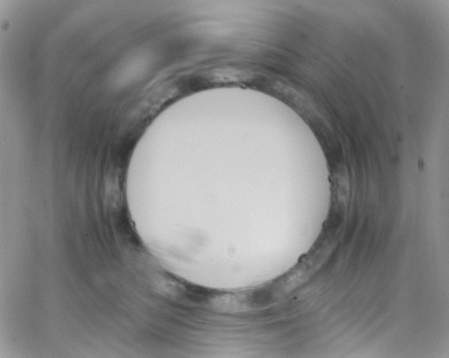 X0000065250422200603131133