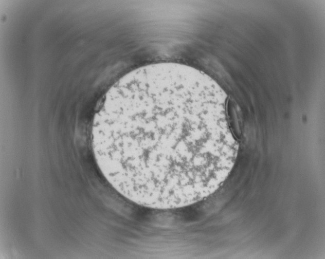 X0000065250423200603131133