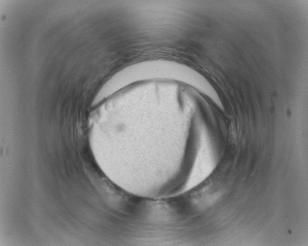 X0000065250424200603131133