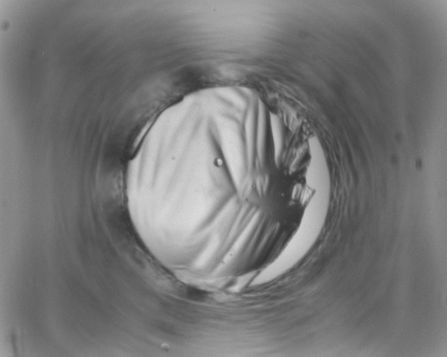 X0000065250425200603131133