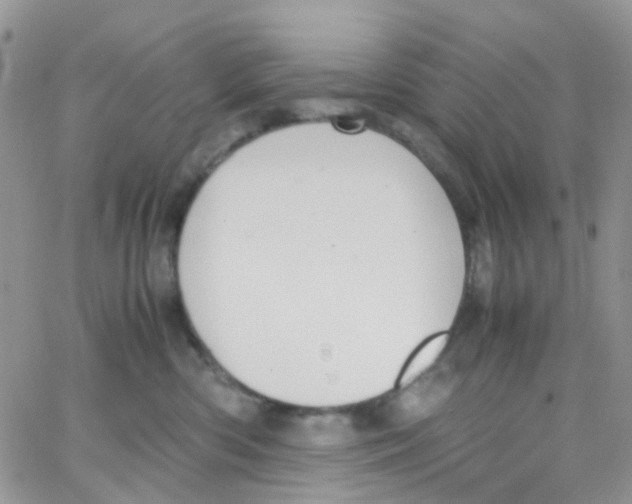 X0000065250426200603131133