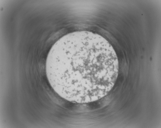 X0000065250427200603131132