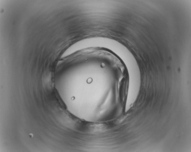 X0000065250428200603131132