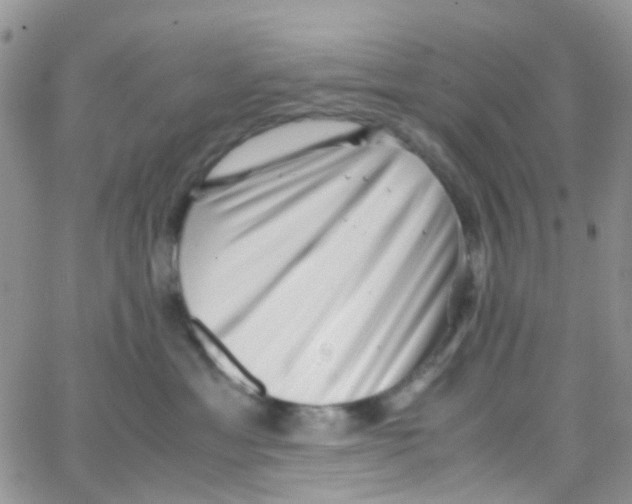 X0000065250429200603131132