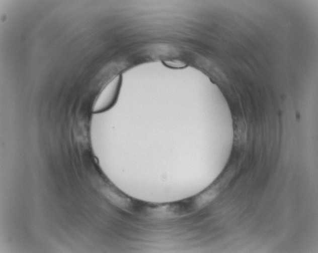 X0000065250430200603131132