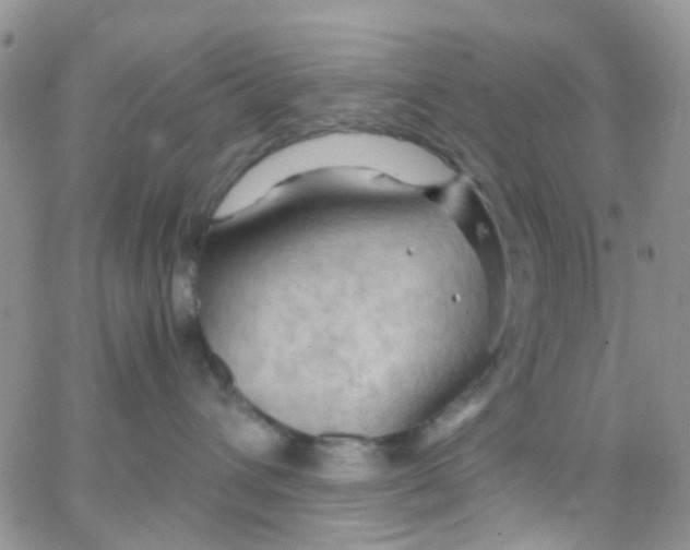 X0000065250432200603131132