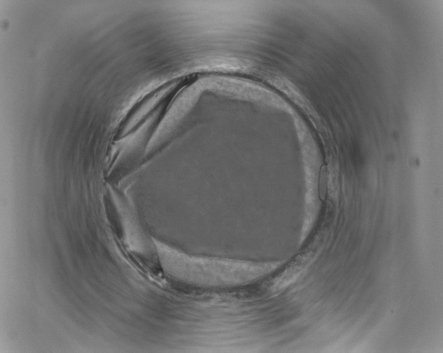 X0000065250434200603131132