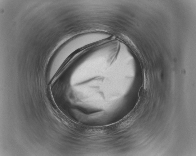 X0000065250435200603131132