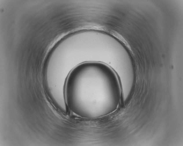 X0000065250436200603131132