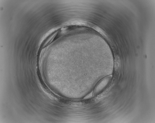 X0000065250438200603131132