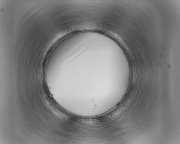 X0000065250439200603131132