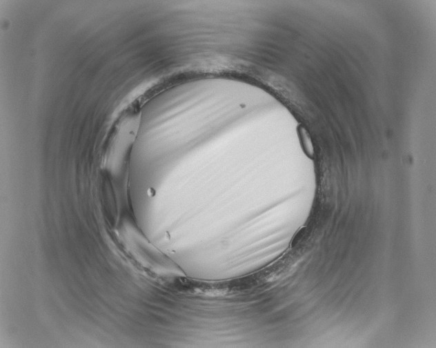 X0000065250440200603131132