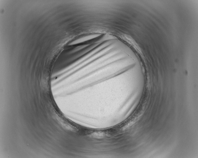 X0000065250441200603131132