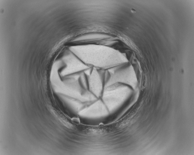 X0000065250442200603131132