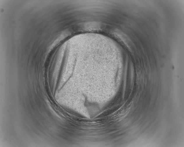 X0000065250443200603131132