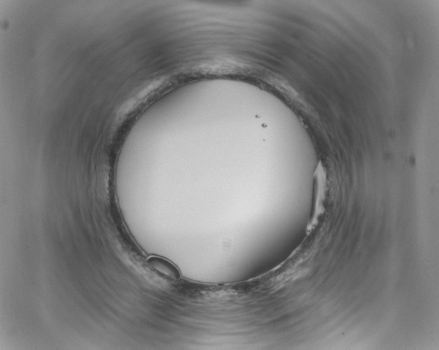 X0000065250446200603131132