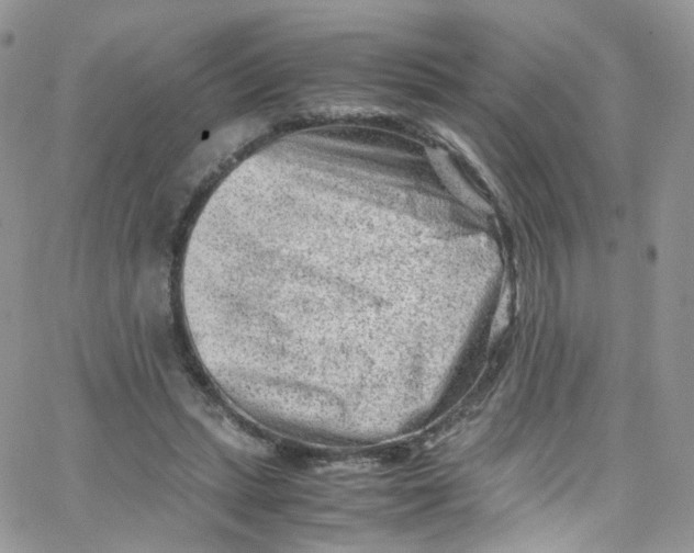 X0000065250447200603131132