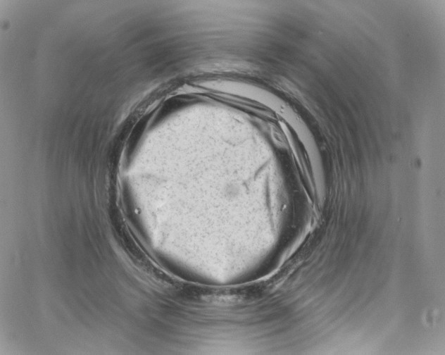 X0000065250448200603131132