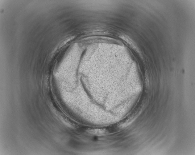 X0000065250449200603131132