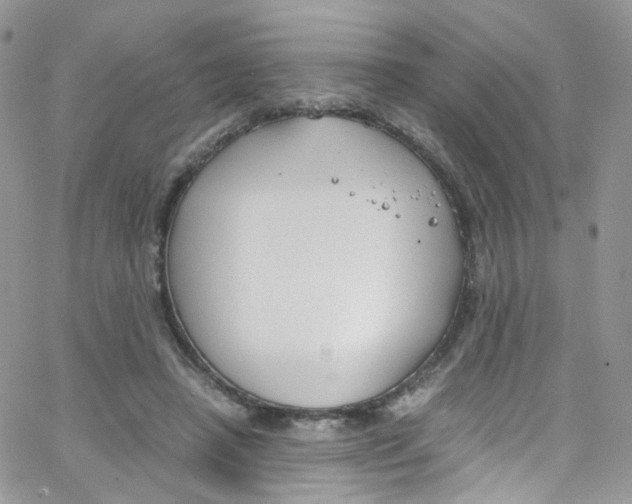 X0000065250450200603131132